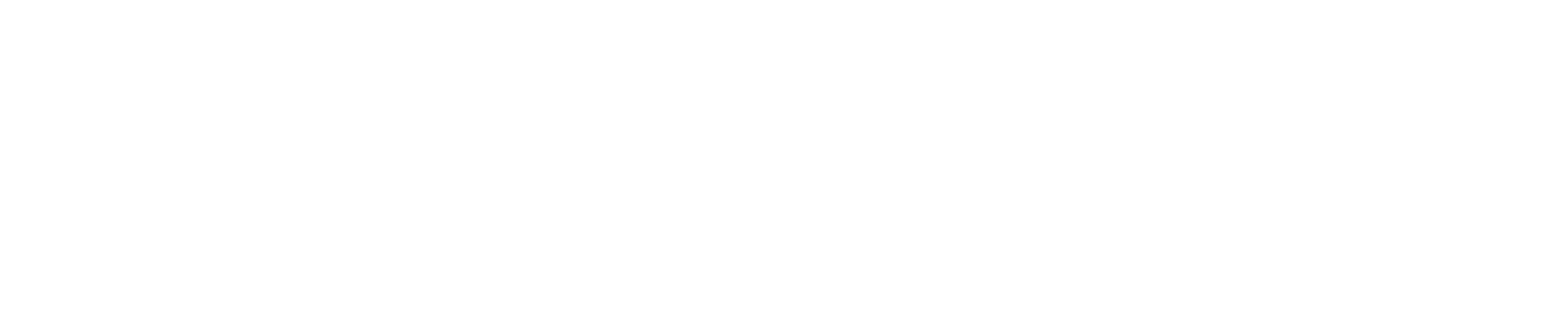 FlightPro Drones